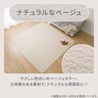 洗いざらしの自然な風合い コットン100％ラグ (イブルウォッシュ 185X240 gST4) 2枚目画像