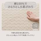 洗いざらしの自然な風合い コットン100％ラグ (イブルウォッシュ 185X240 gST4) 3枚目画像