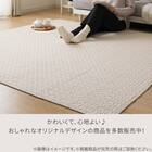 洗いざらしの自然な風合い コットン100％ラグ (イブルウォッシュ 185X240 gST4) 6枚目画像
