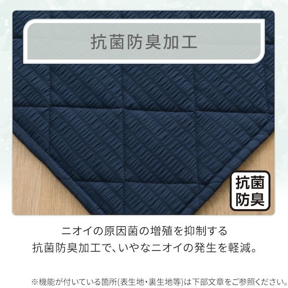 洗える抗菌防臭加工 ラグ Dプレーン(130X185 ネイビー rST1) 4枚目画像