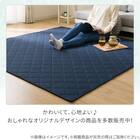 洗える抗菌防臭加工 ラグ Dプレーン(130X185 ネイビー rST1) 8枚目画像