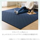 洗える抗菌防臭加工 ラグ Dプレーン(130X185 ネイビー rST1) 8枚目画像