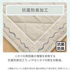 洗える抗菌防臭加工ラグ 麻混風PFL(130X185 NR02) 4枚目画像