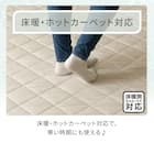 洗える抗菌防臭加工ラグ 麻混風PFL(130X185 NR02) 6枚目画像