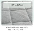 洗える抗菌防臭加工ラグ 麻混風PFL(185X240 NR02) 5枚目画像