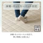 洗える抗菌防臭加工ラグ 麻混風PFL(185X240 NR02) 6枚目画像