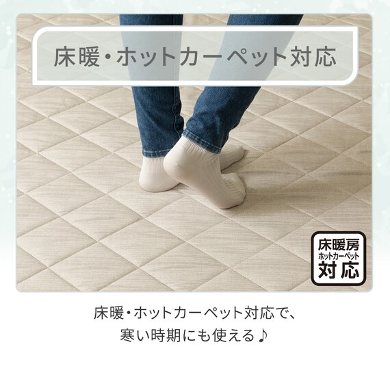 洗える抗菌防臭加工ラグ 麻混風PFL(185X240 NR02) 6枚目画像