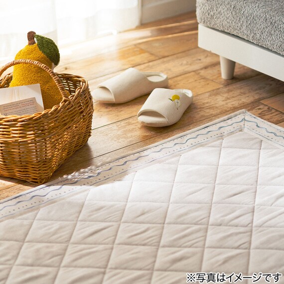 洗える抗菌防臭加工ラグ 麻混風PFL(185X240 NR02) 9枚目画像