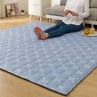 洗える接触冷感ラグ NクールリボンLA(130X185 ブルー NR04) 17枚目画像