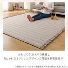 洗える接触冷感ラグ Nクールフリル(130X185 モカ rDS1) 9枚目画像