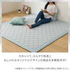 15mmウレタン入り極冷ラグ Nクール極冷ヤシ柄(130X185 NR04) 12枚目画像