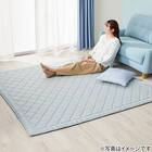 15mmウレタン入り極冷ラグ Nクール極冷ヤシ柄(130X185 NR04) 13枚目画像