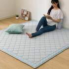 15mmウレタン入り極冷ラグ Nクール極冷ヤシ柄(130X185 NR04) 20枚目画像