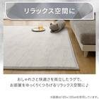 15mmウレタン入り極冷ラグ Nクール極冷石目柄(130X185 rDS2) 10枚目画像