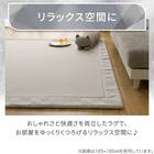 15mmウレタン入り極冷ラグ Nクール極冷(130X185 グレー rDS3) 10枚目画像