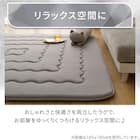 極厚30mmウレタン入り極冷ラグ Nクール極冷(130X185 グレー rDS4) 10枚目画像