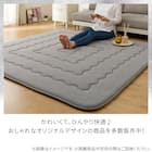 極厚30mmウレタン入り極冷ラグ Nクール極冷(130X185 グレー rDS4) 12枚目画像