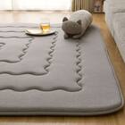 極厚30mmウレタン入り極冷ラグ Nクール極冷(130X185 グレー rDS4) 13枚目画像