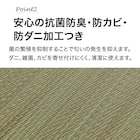 い草ラグ(120X180 ナチュラル NJ01) 4枚目画像