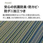 い草ラグ(120X180 ブルー NJ02) 4枚目画像