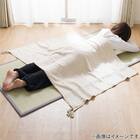 3つ折りい草マット(90X180 NJ07) 3枚目画像