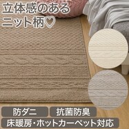防ダニ・抗菌防臭ラグ(KNT)