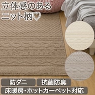 防ダニ・抗菌防臭ラグ(KNT)