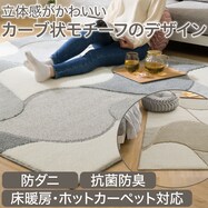 防ダニ・抗菌防臭ラグ(CRV)
