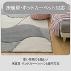 防ダニ・抗菌防臭ラグ(CRV 185X185 グレー) 5枚目画像