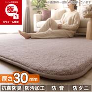 30mmウレタン入り 吸湿発熱 極暖ラグ(Nウォーム極暖 PL QA09)