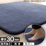 30mmウレタン入り防汚加工+防ダニ加工+防音ラグ(NV QA07)