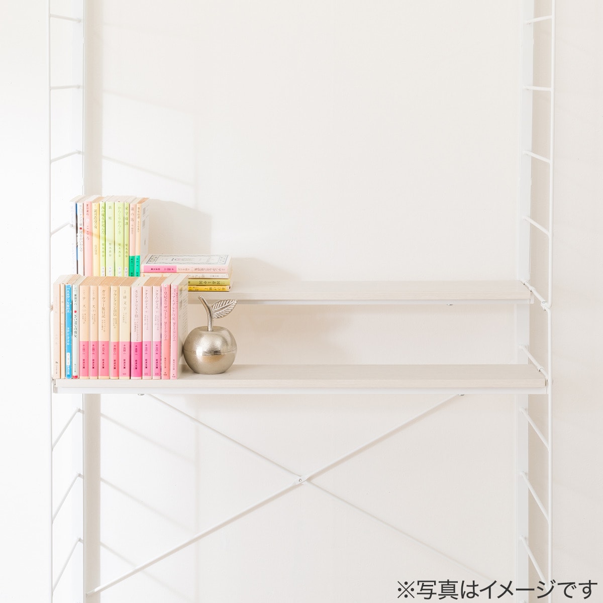 Nポルダ・Nポルダスリム専用】追加棚板 奥行ハーフ(奥行スリムタイプ