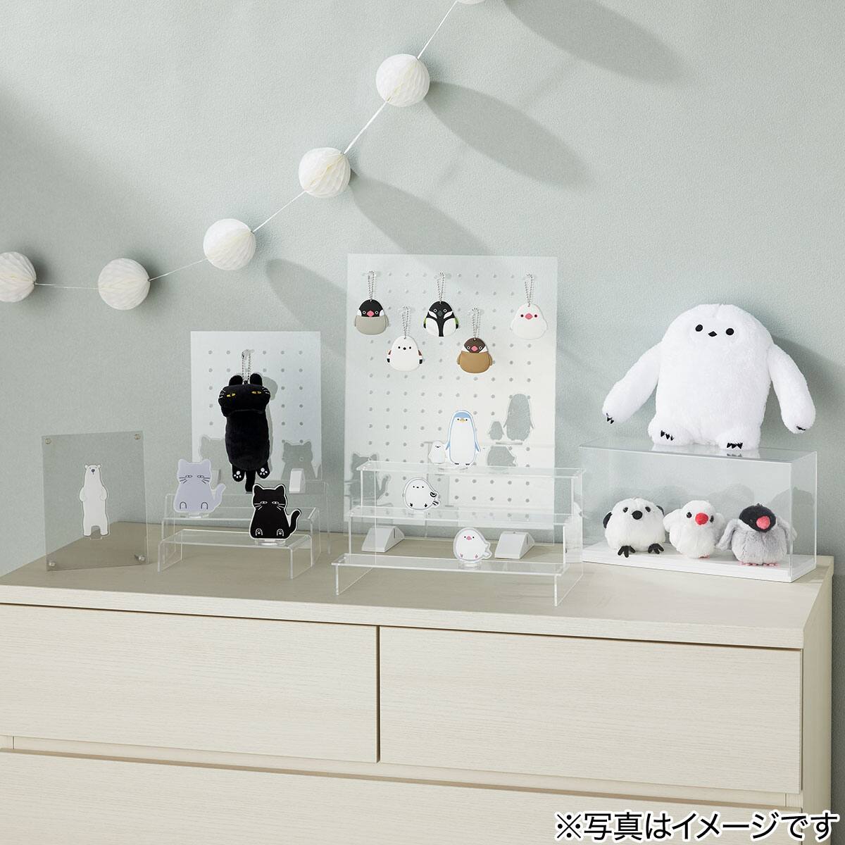 アクリルスタンド(ブンチョウ) | ニトリネット【公式】 家具
