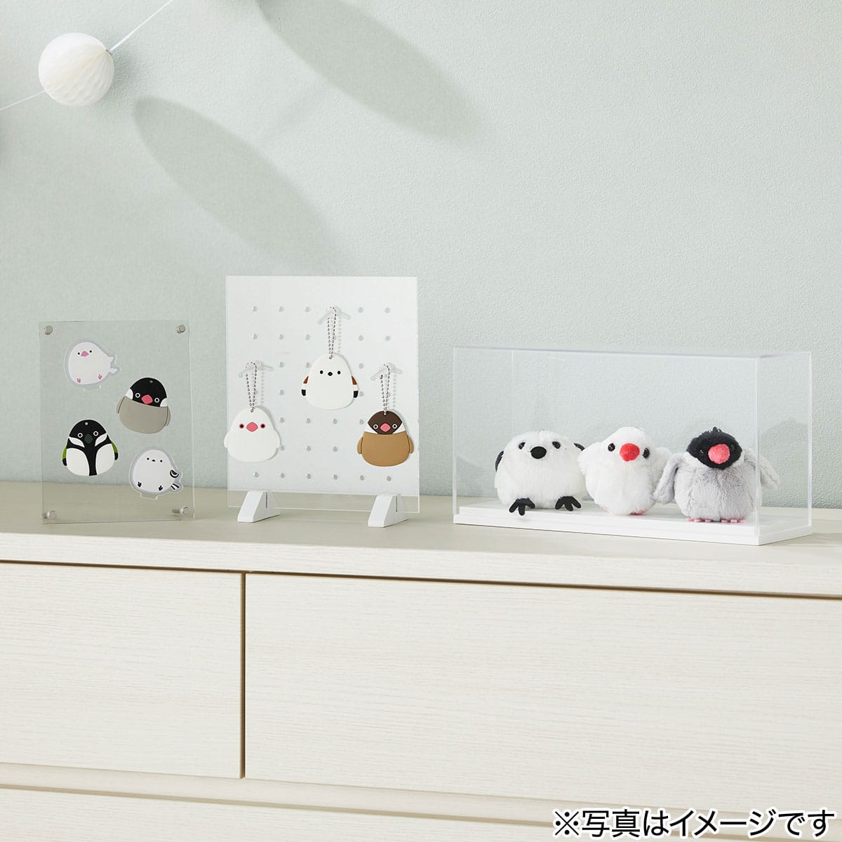 アクリルスタンド(ブンチョウ) | ニトリネット【公式】 家具