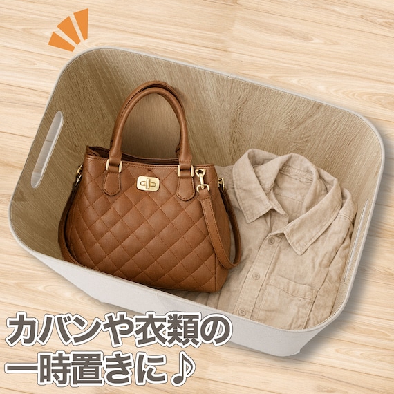 収納BOX(DH3N3038 ベージュ) 3枚目画像