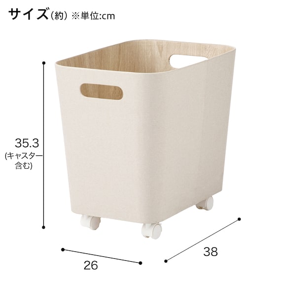 収納BOX(DH3N3038 ベージュ) 5枚目画像