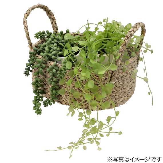 天然素材小物バスケット S 7枚目画像