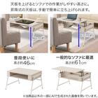 昇降テーブル (NH1 ホワイトウォッシュ) 8枚目画像