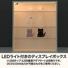 LEDライト付き ディスプレボックス Ｍ(40×35cm) 2枚目画像