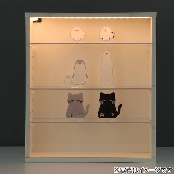 LEDライト付き ディスプレボックス Ｍ(40×35cm) 5枚目画像