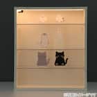 LEDライト付き ディスプレボックス M(40×35cm) 5枚目画像