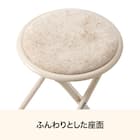折りたたみスツール(モカ 25JJ01) 3枚目画像