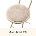 折りたたみチェア(モカ 25JJ02) 3枚目画像