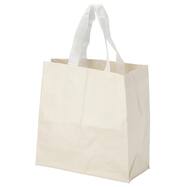 無地 ショッピングエコバッグ(TD02)