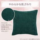 クッションカバー(ムジ グリーン cSChq1) 2枚目画像