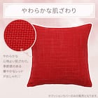 クッションカバー(ムジ レッド cSChq1) 2枚目画像