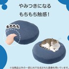 洗える モチモチクッション(40R NクールSP2501NV) 4枚目画像