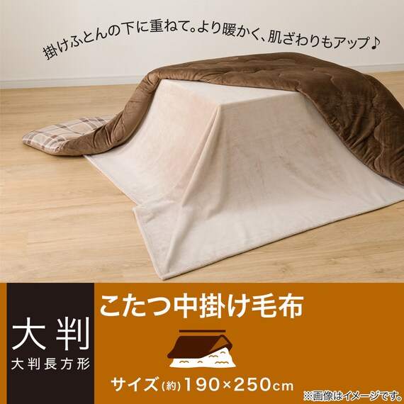 こたつ中掛け毛布 大判(SL2401 BE) 2枚目画像
