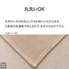 こたつ中掛け毛布 大判(SL2401 BE) 4枚目画像