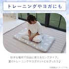 ロングシートクッション(NクールSP シロクマ gSC1) 3枚目画像